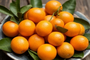 Врач Пехотина рассказала, кому противопоказано употребление кумквата