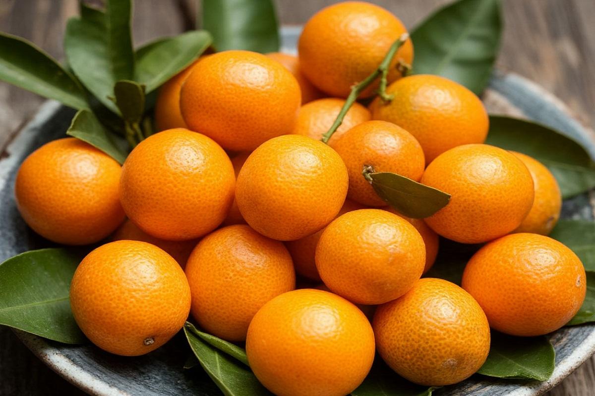 Врач Пехотина рассказала, кому противопоказано употребление кумквата