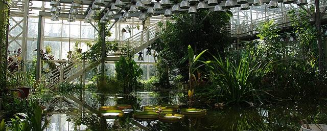 В Ингушетии появится собственный ботанический сад