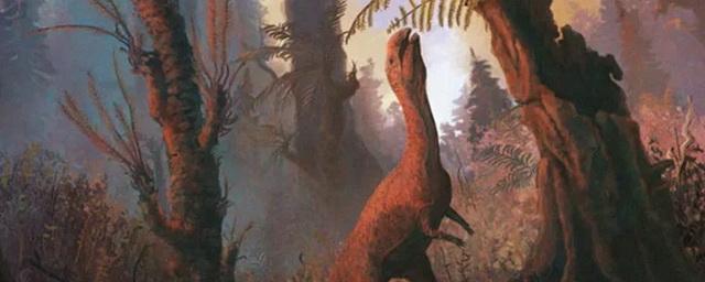 Учёные рассказали, как гибель динозавров повлияла на эволюцию пальм