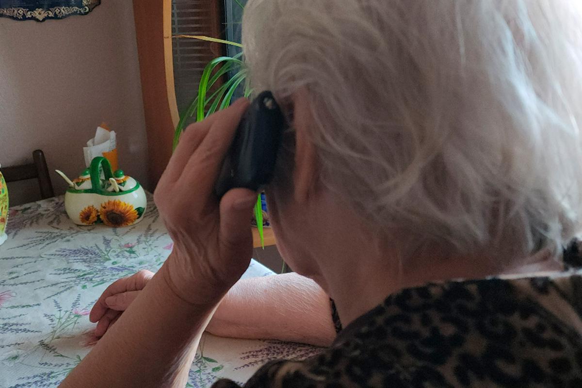 В Подмосковье вскрылась новая схема мошенничества с документами