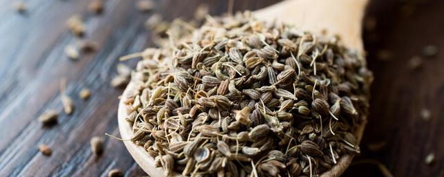 Препарат из семян сельдерея на 70% повышает шанс на выздоровление при инсульте
