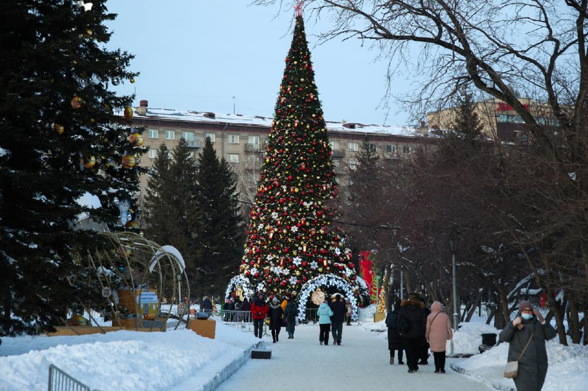 Из-за COVID-19 в Новосибирской области отменили губернаторскую елку