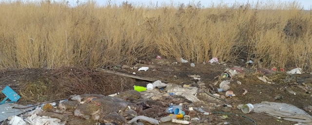 В Люберцах с начала года ликвидировали около 40 незаконных свалок