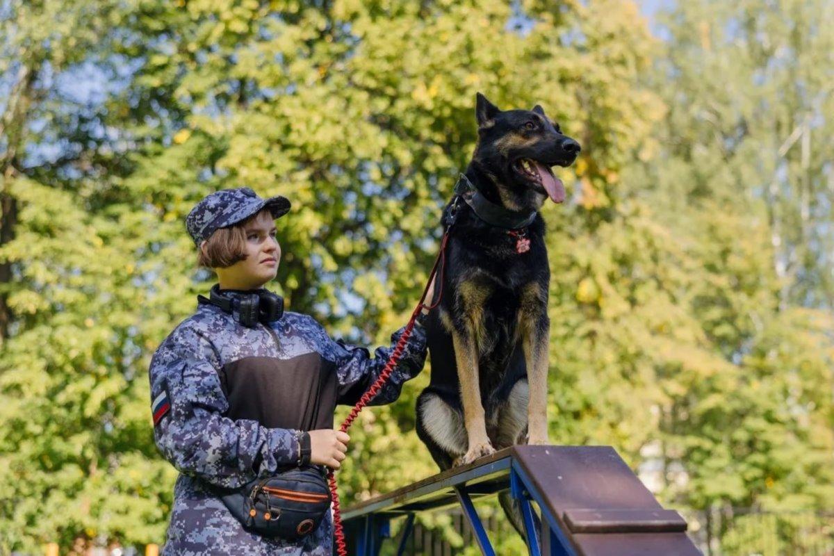 Губернатор Рязанской области Малков рассказал об открытии учебно-кинологического центра