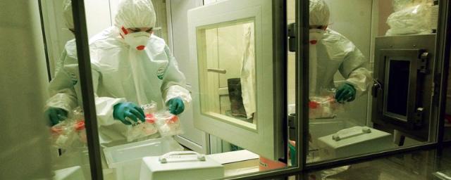 Новосибирские лаборатории могут делать 1300 проб на коронавирус в сутки