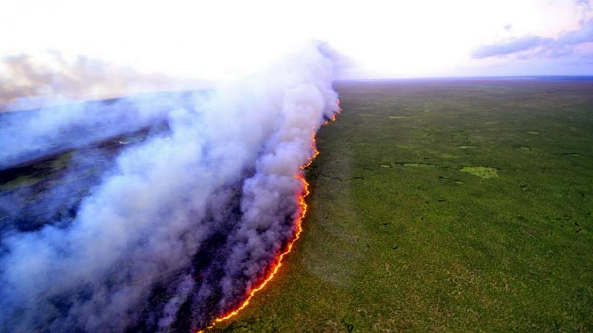 Президент Бразилии обвинил экологов в лесных пожарах в Амазонии