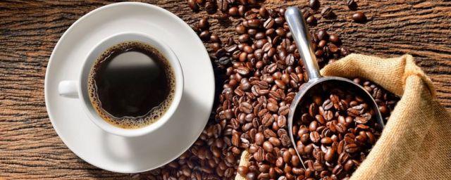 Финские ученые смогли вырастить кофе в биореакторе