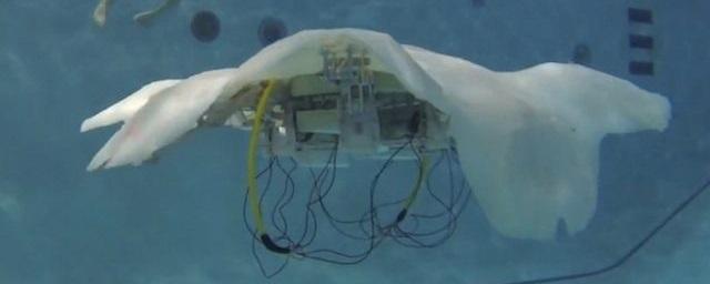 Инженеры в США создали мягкого робота-медузу