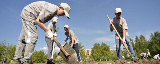 В Хабаровском крае летом трудоустроят более 3 тысяч молодых людей