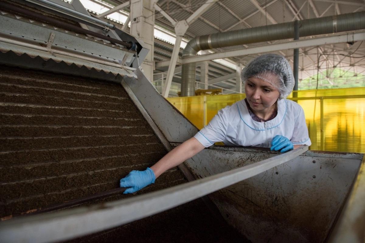 Петербургский производитель чая отстоял в суде права на свой товарный знак