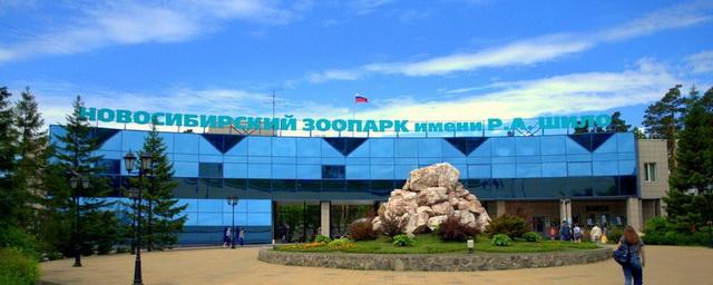 В Новосибирске открываются музеи, магазины и зоопарк