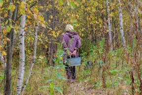 В башкирских лесах за сутки потерялись пять человек