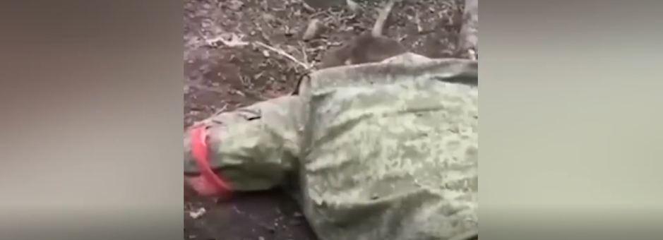 Опубликованы кадры очередной казни безоружных российских пленных украинскими военными