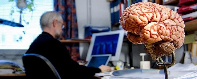 Австралийские ученые доказали, что после 40 лет мозг человека радикально меняется