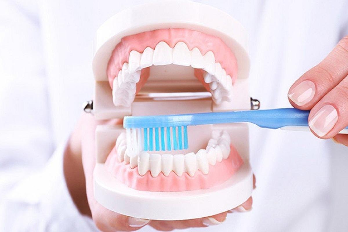Стоматолог Золотницкий объяснил, зачем чистить зубы до завтрака