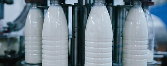 В российских сельхозорганизациях объём реализации молока увеличился на 7,5%