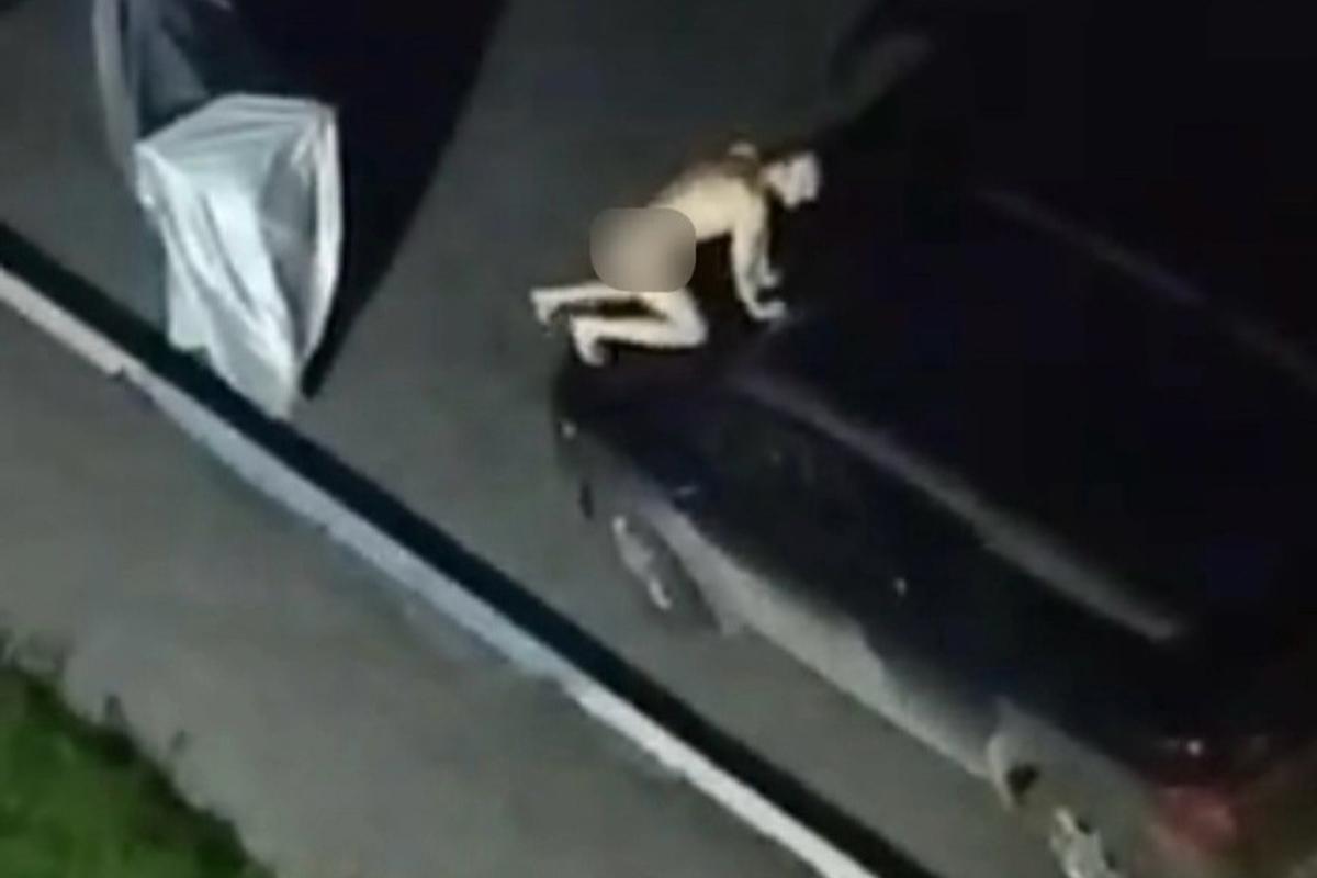 Голый дебош в Череповце: гость из Казахстана бегал по улице и рвал цветы