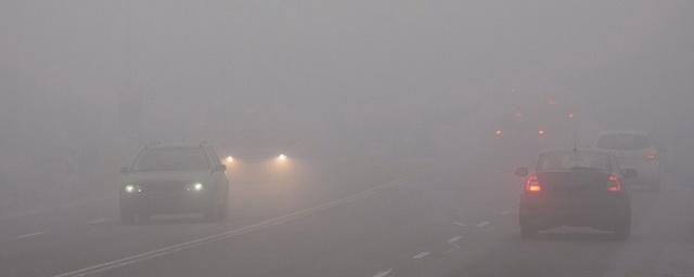 В Ленинградской области в пятницу ожидаются туман и порывы ветра