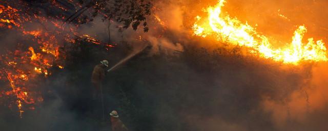 В Португалии и Испании жертвами природных пожаров стали 9 человек