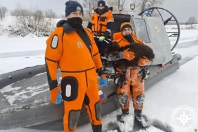 Из сотен животных, провалившихся под лед в Башкирии, выжила лишь одна овца