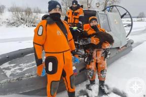 Из сотен животных, провалившихся под лед в Башкирии, выжила лишь одна овца