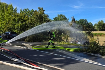 В Германии отец с двумя детьми сгорели заживо в запертой Tesla
