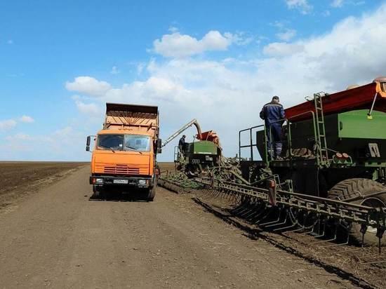 В Амурской области на неделю раньше началась посевная в связи с аномально тёплой погодой