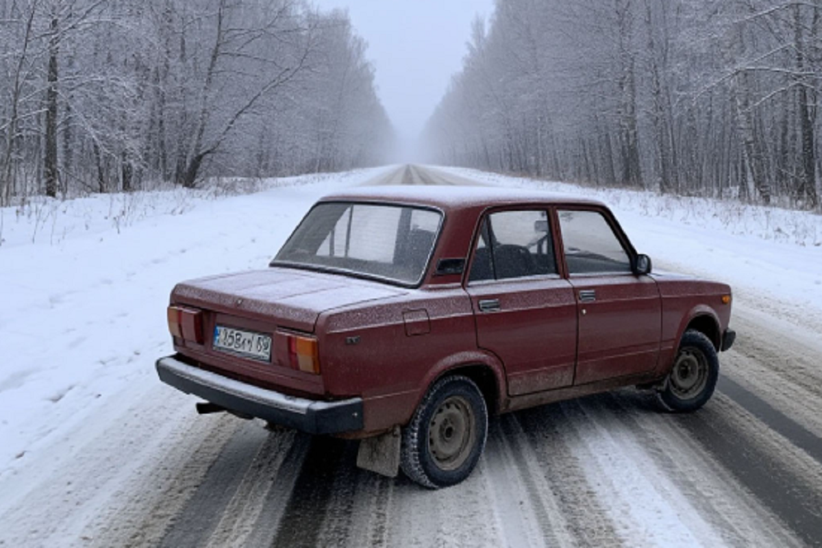 Инспекторы ДПС из Мордовии помогли замерзающей на трассе семье