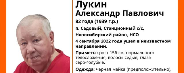 Под Новосибирском ищут 82-летнего Александра Лукина, страдающего потерей памяти