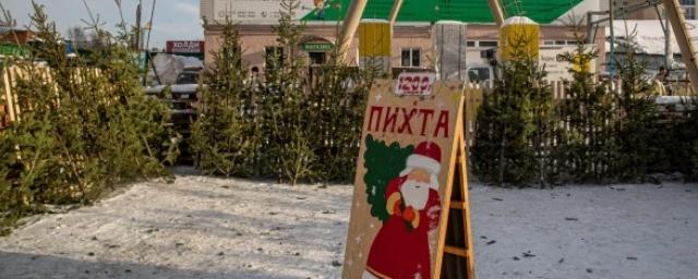 В Новосибирске цены на новогодние ёлки выросли в 1,5-2 раза