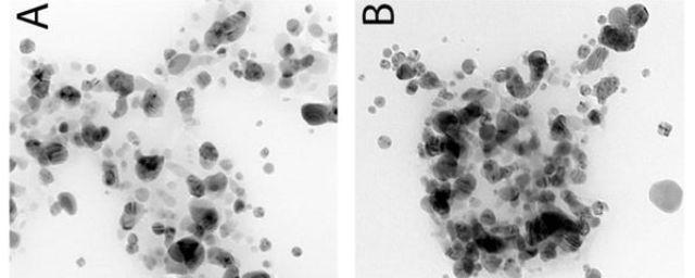 В России создали стабильные наночастицы серебра, уничтожающие опухолевые клетки