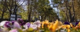 В Южно-Сахалинске благоустройство парка имени Гагарина завершат до конца мая