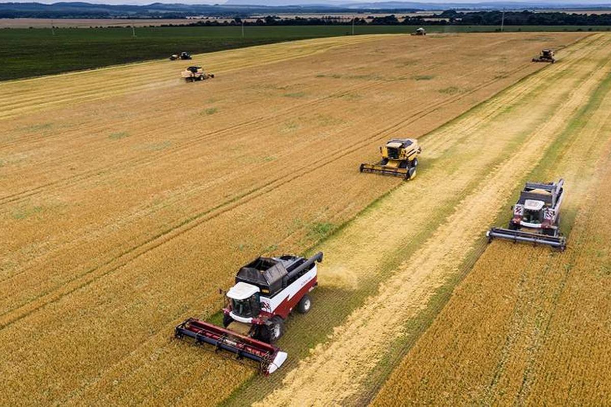 Малые формы хозяйств — важный вклад в развитие сельского хозяйства Мордовии