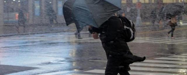 Псковичам прогнозируют снег, дождь и гололедицу на 29 марта