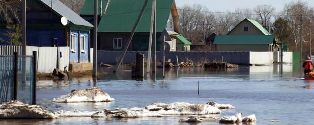 Пяти населенным пунктам Оренбуржья грозит весенний паводок
