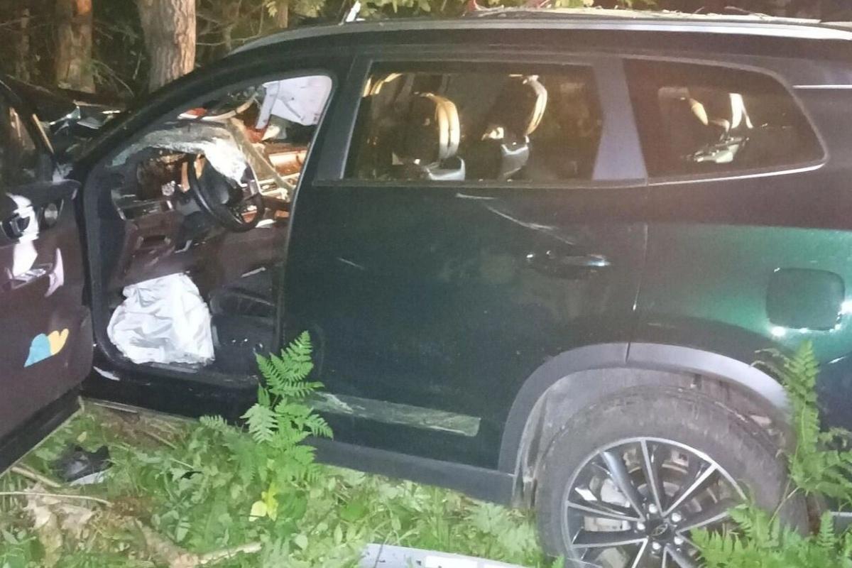 ДТП с лосем унесло жизни двух человек в Удмуртии