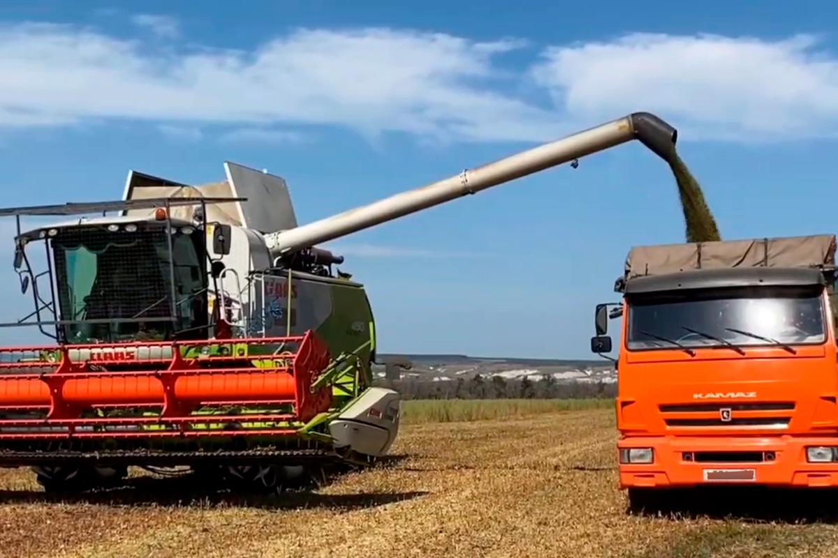 Спикер Белгородской облдумы Юрий Клепиков сообщил о старте уборки сои в Валуйском округе