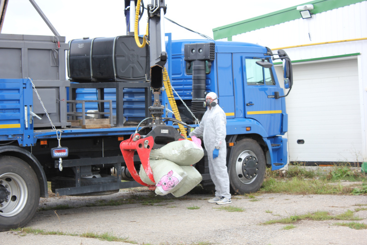 В Мордовии прошли масштабные учения по ликвидации африканской чумы свиней