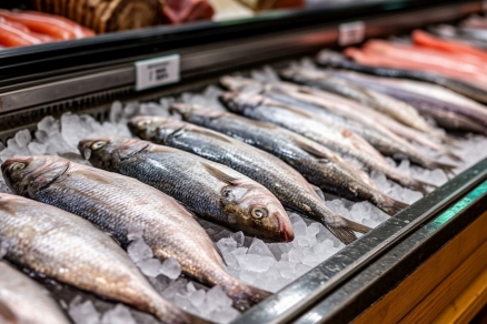 Экономист Кырлан: Цены на рыбу растут вместе с ростом себестоимости ее добычи