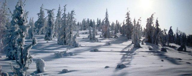 В Якутии появится туристический маршрут на Полюс холода