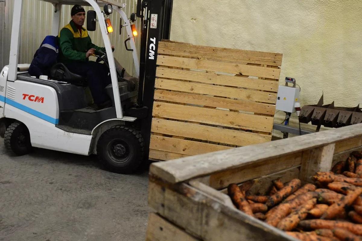 Фермеры Волгоградской области наращивают мощности для хранения урожая