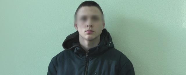 В Нижнем Тагиле полиция ищет пострадавших от нападений семиклассника, совершавшего кражи и грабежи