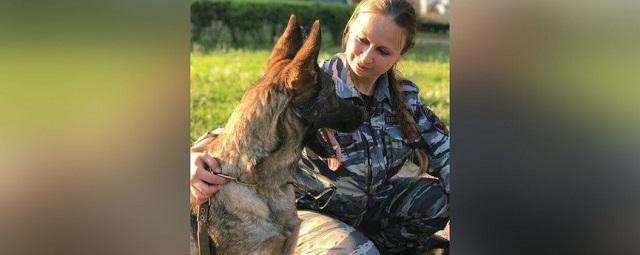 Служебная собака в Петербурге спасла школьницу от изнасилования