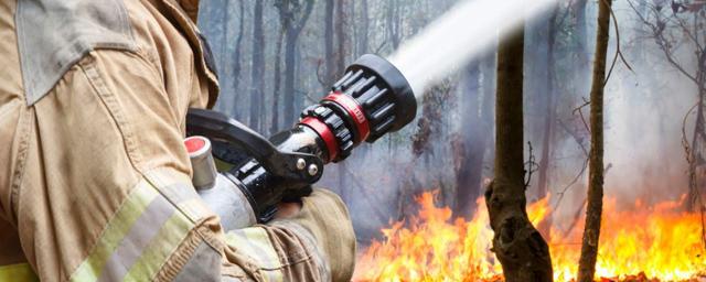 В Республике Алтай с 1 апреля начался пожароопасный сезон