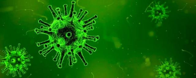 В Новосибирской области выявлено 169 новых случаев коронавируса