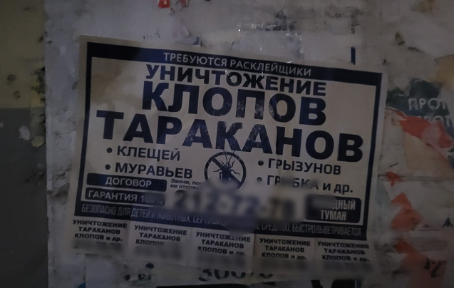 Новосибирских дезинсекторов заподозрили в подбрасывании насекомых в квартиры