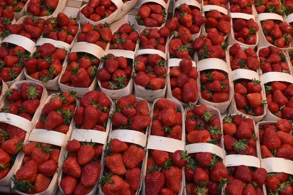 Эксперты рассказали, где лучше всего покупать фрукты и ягоды в России