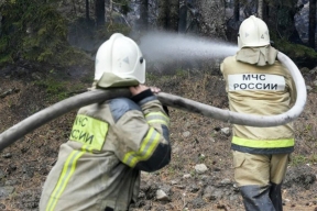 В Ростовской области лесной пожар распространился до 324 га