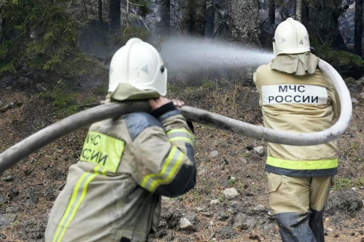 В Ростовской области лесной пожар распространился до 324 га